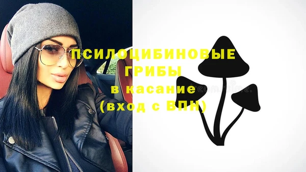 ГАЛЛЮЦИНОГЕННЫЕ ГРИБЫ Верхнеуральск