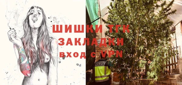 ПСИЛОЦИБИНОВЫЕ ГРИБЫ Верхний Тагил