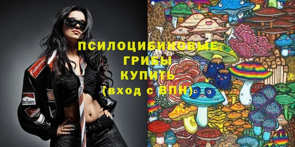 ПСИЛОЦИБИНОВЫЕ ГРИБЫ Верхний Тагил